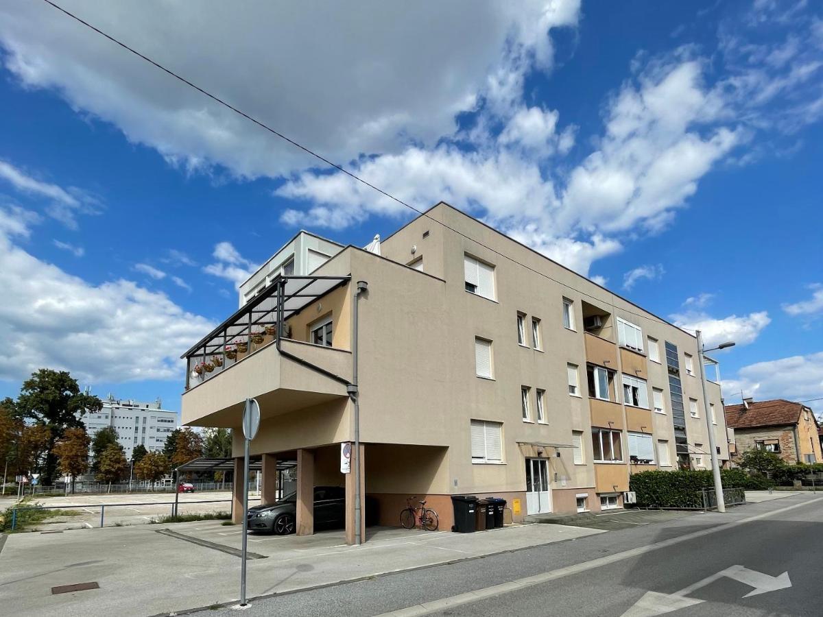 Lipa Apartment 萨格勒布 外观 照片